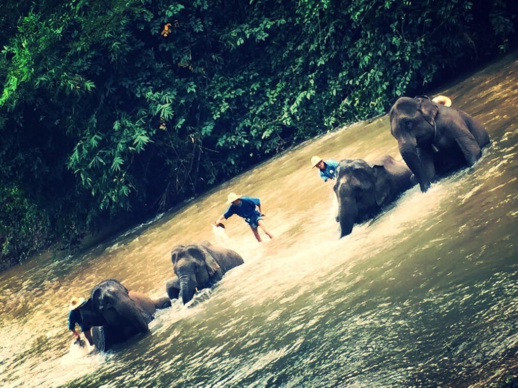 The Wes Village, Incl Free Breakfast & 100 Thb Food Gift Chiang Dao Eksteriør billede